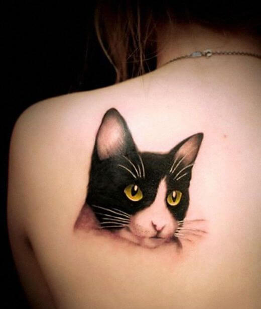 Tuxedo Cat Tattoo