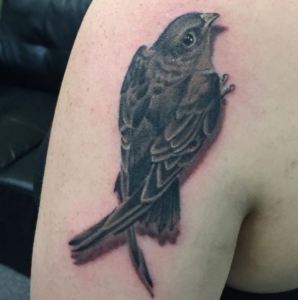 3d Sparrow Wildlife Tattoos