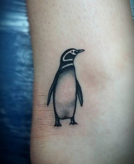 Penguin Wildlife Tattoos