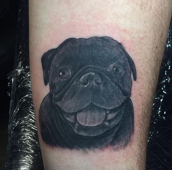 Pug Wildlife Tattoos