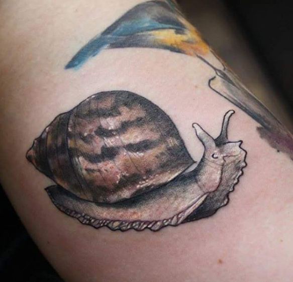 Snail Wildlife Tattoos