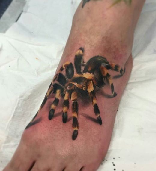 Spider Wildlife Tattoos
