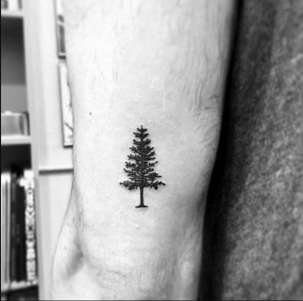 Awesome Small Tree Tattoos For Men