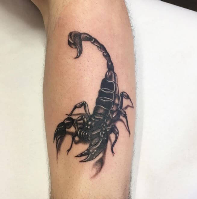Realistic Scorpion Tattoo