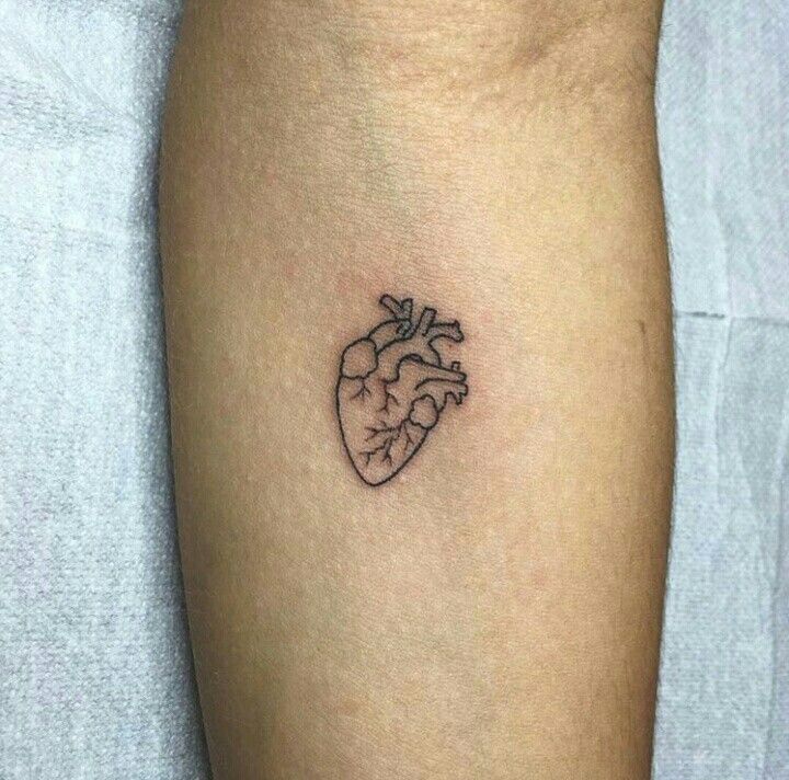 Anatomical Heart Tattoo Designs For Guys With Meaning (35)