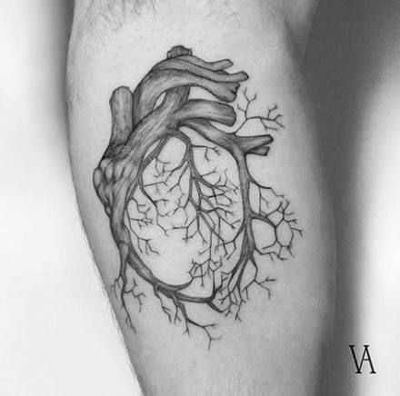 Anatomical Heart Tattoo Designs For Guys With Meaning (5)