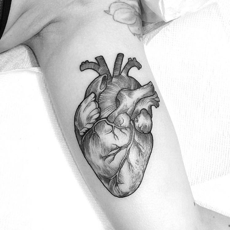 Anatomical Heart Tattoo Designs For Guys With Meaning (50)