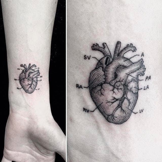 Anatomical Heart Tattoo Designs For Guys With Meaning (52)