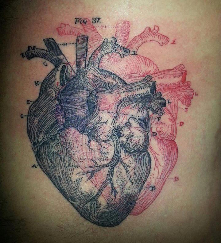 Anatomical Heart Tattoo Designs For Guys With Meaning (57)