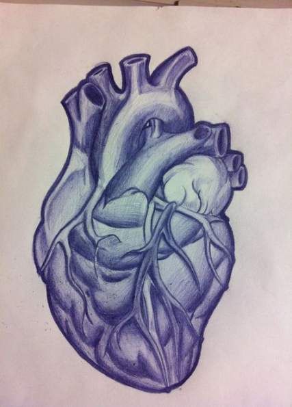 Anatomical Heart Tattoo Designs For Guys With Meaning (62)