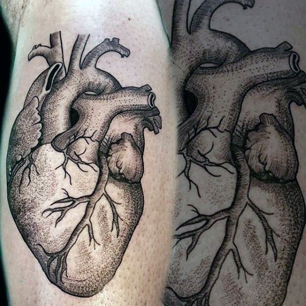 Anatomical Heart Tattoo Designs For Guys With Meaning (64)