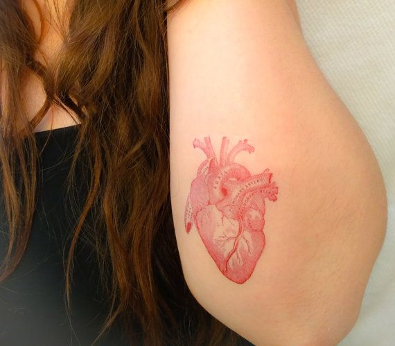 Anatomical Heart Tattoo Designs For Guys With Meaning (65)