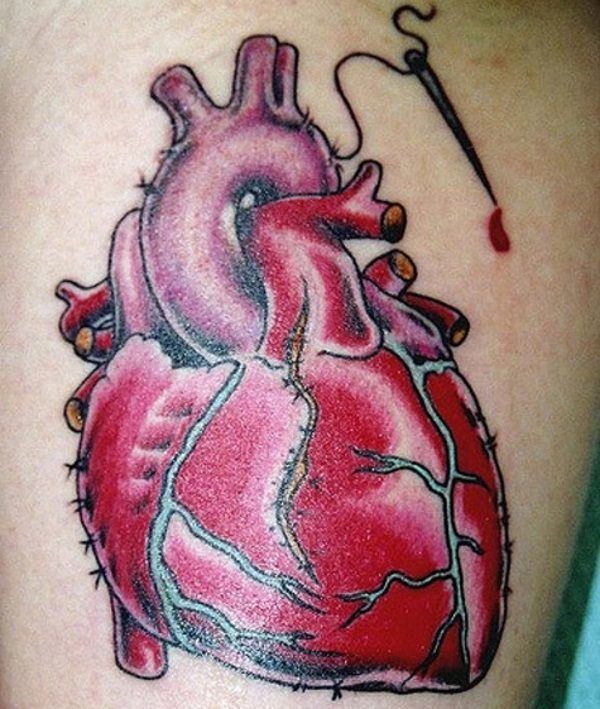 Anatomical Heart Tattoo Designs For Guys With Meaning (7)