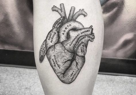 Anatomical Heart Tattoo Designs For Guys With Meaning (99)