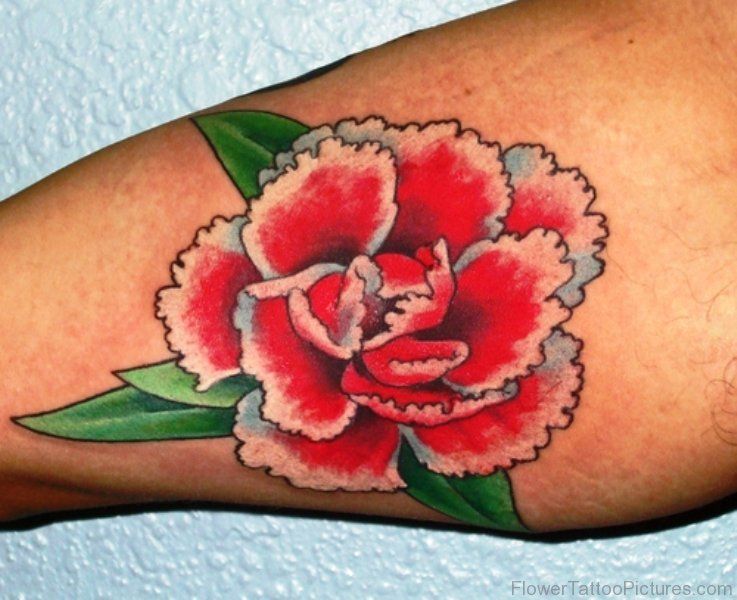 Carnation Tattoos Designs (6)
