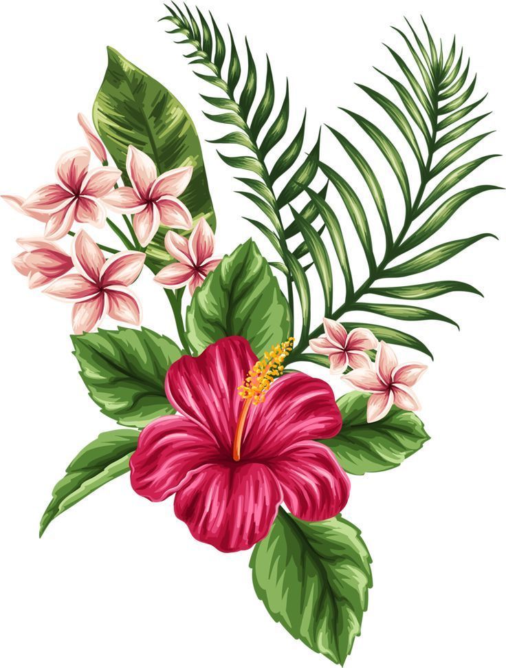 Hawaiian Tattoo Symbol Meanings (1)