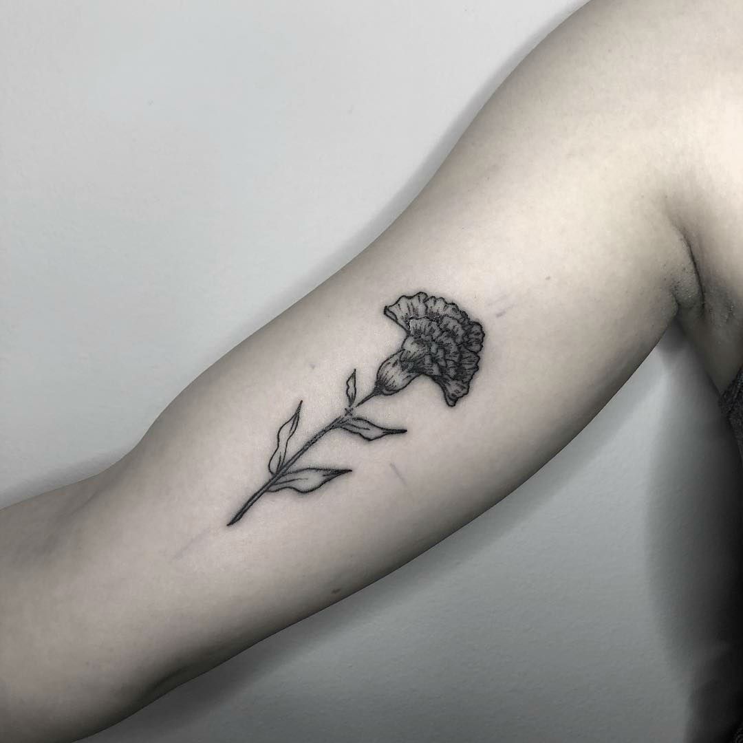 Purple Carnation Tattoo (5)
