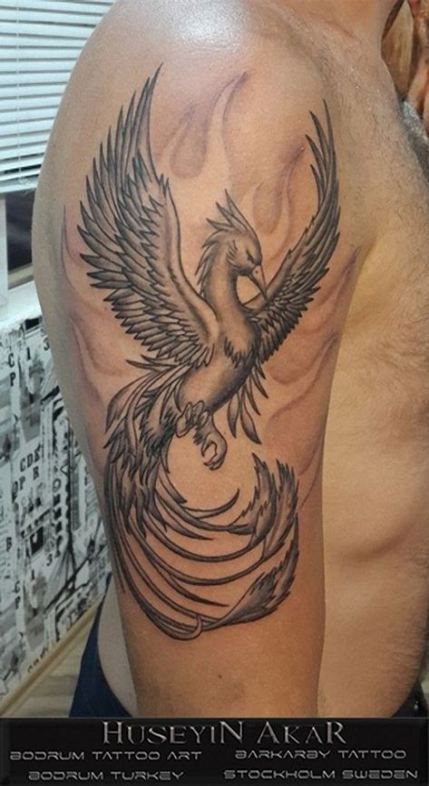 Fenix Tatuaje Masculina Feminina (108)