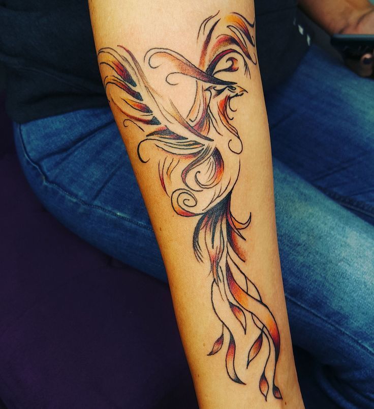 Fenix Tatuaje Masculina Feminina (132)