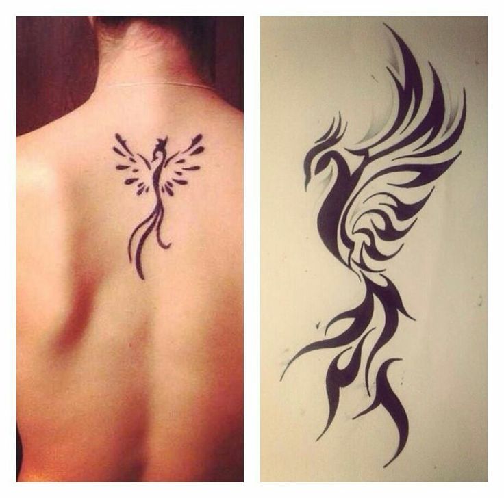 Fenix Tatuaje Masculina Feminina (157)