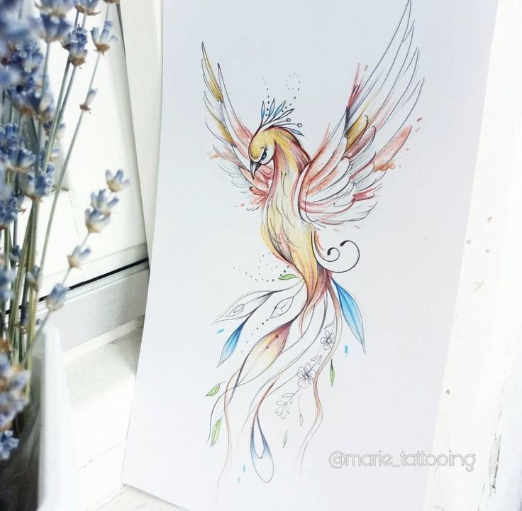 Fenix Tatuaje Masculina Feminina (164)