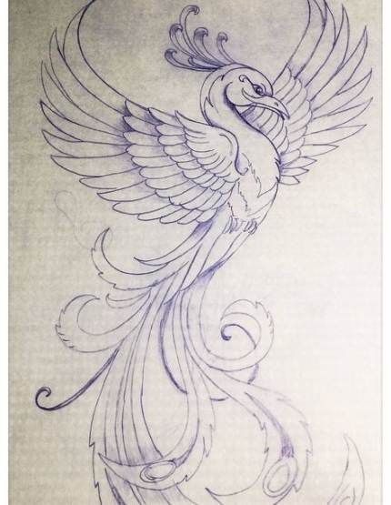 Fenix Tatuaje Masculina Feminina (166)