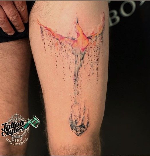 Fenix Tatuaje Masculina Feminina (167)