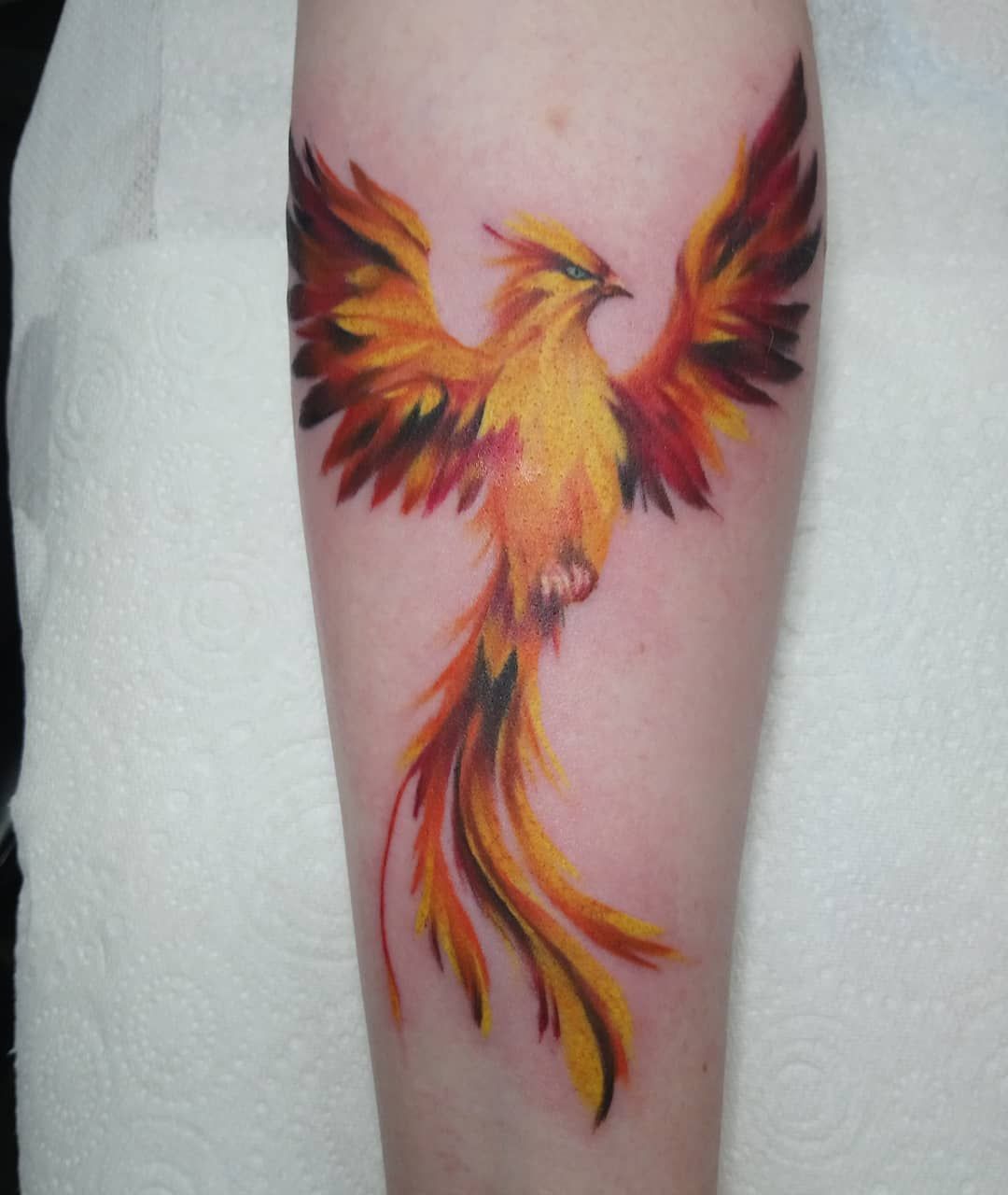 Fenix Tatuaje Masculina Feminina (170)