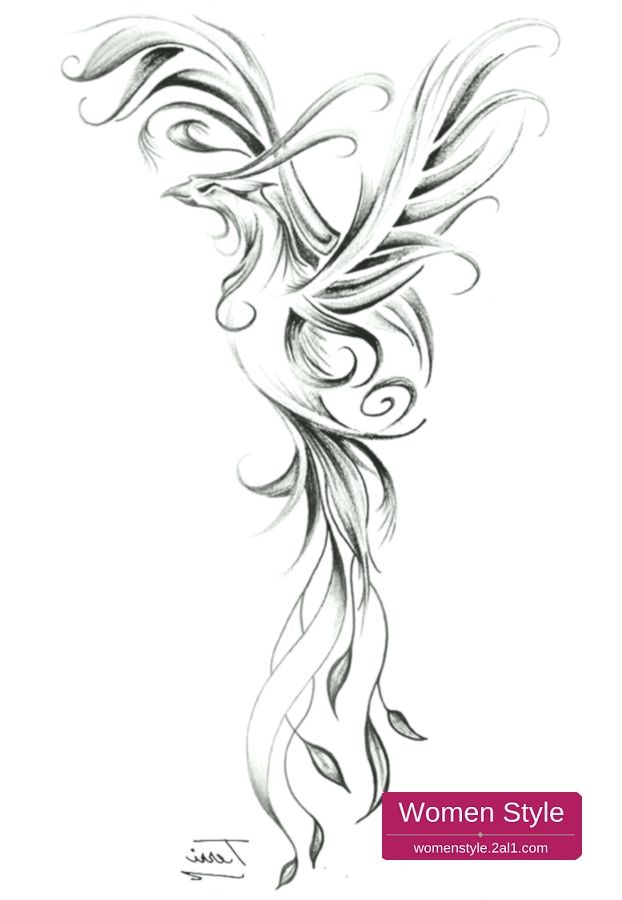 Fenix Tatuaje Masculina Feminina (177)