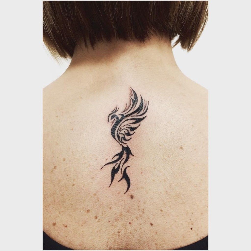 Fenix Tatuaje Masculina Feminina (196)