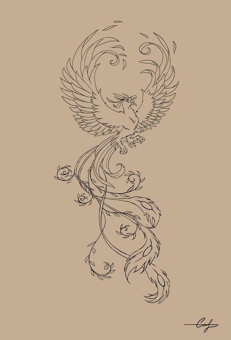 Fenix Tatuaje Masculina Feminina (37)