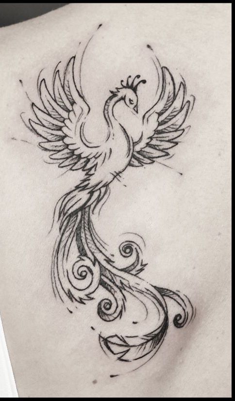 Fenix Tatuaje Masculina Feminina (38)