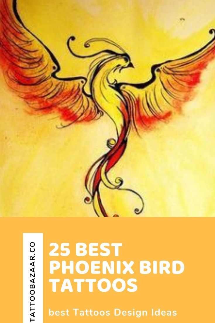 Fenix Tatuaje Masculina Feminina (5)