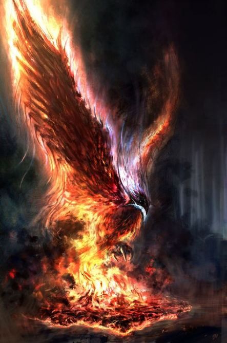 Fenix Tatuaje Masculina Feminina (51)