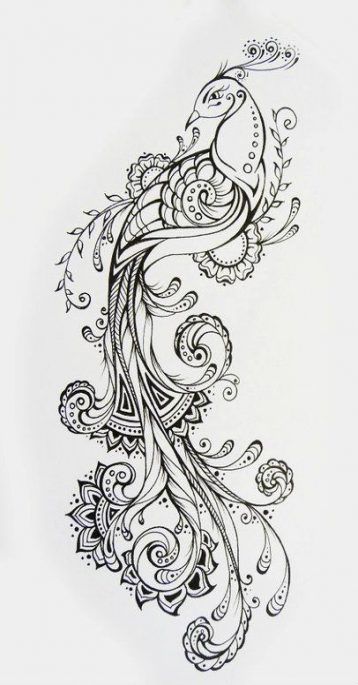 Fenix Tatuaje Masculina Feminina (53)