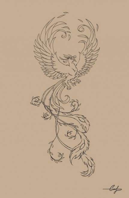 Fenix Tatuaje Masculina Feminina (68)