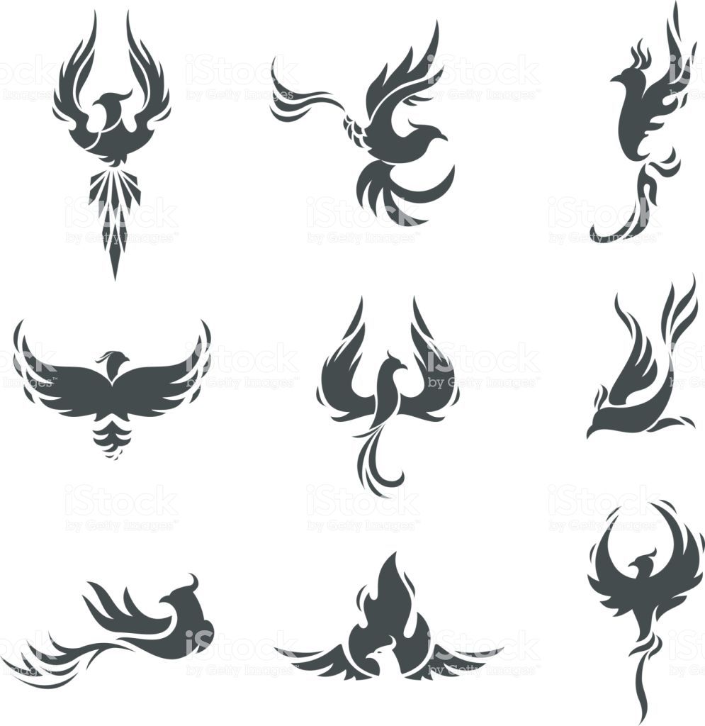 Fenix Tatuaje Masculina Feminina (71)