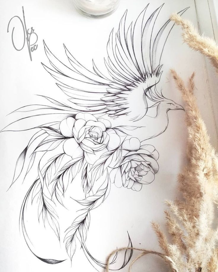 Fenix Tatuaje Masculina Feminina (81)