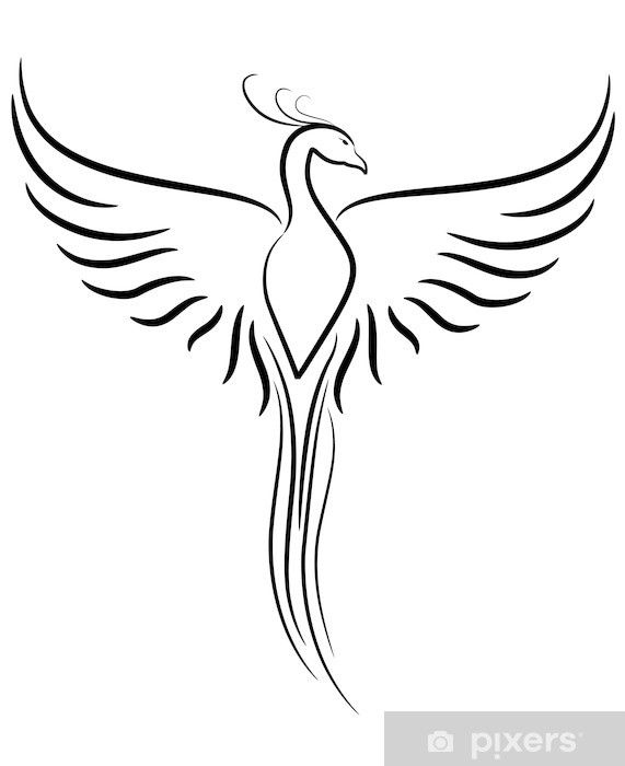 Fenix Tatuaje Masculina Feminina (89)