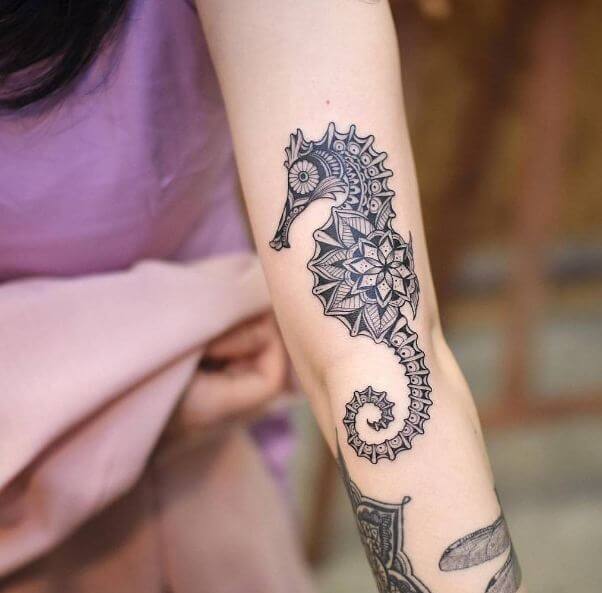 Sea Horse Tattoos For Girls
