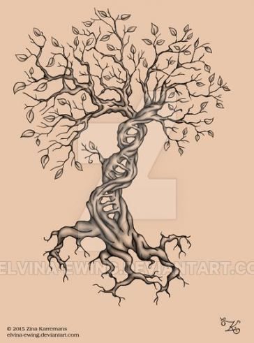 Family Tree Tattoo With Names (177)