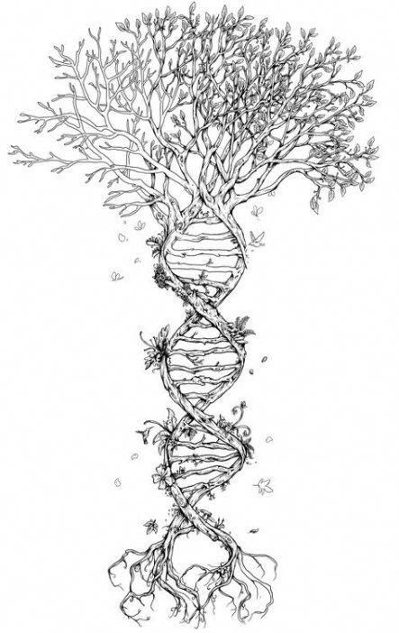 Family Tree Tattoo With Names (179)