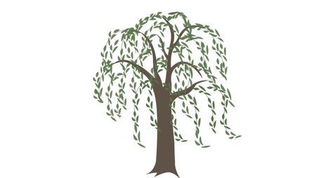 Family Tree Tattoo With Names (249)