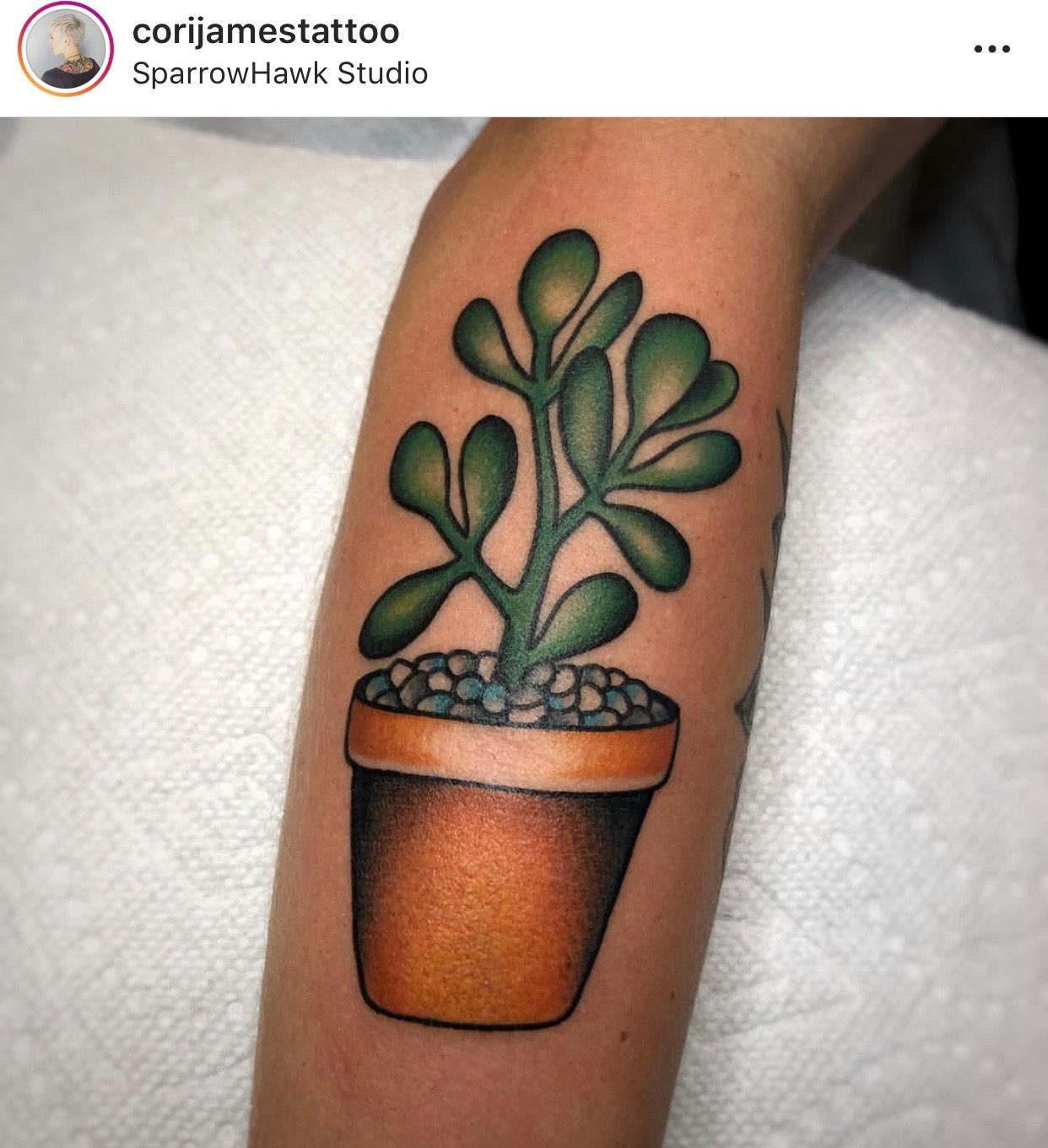 Small Simple Cactus Tattoo Designs (10)