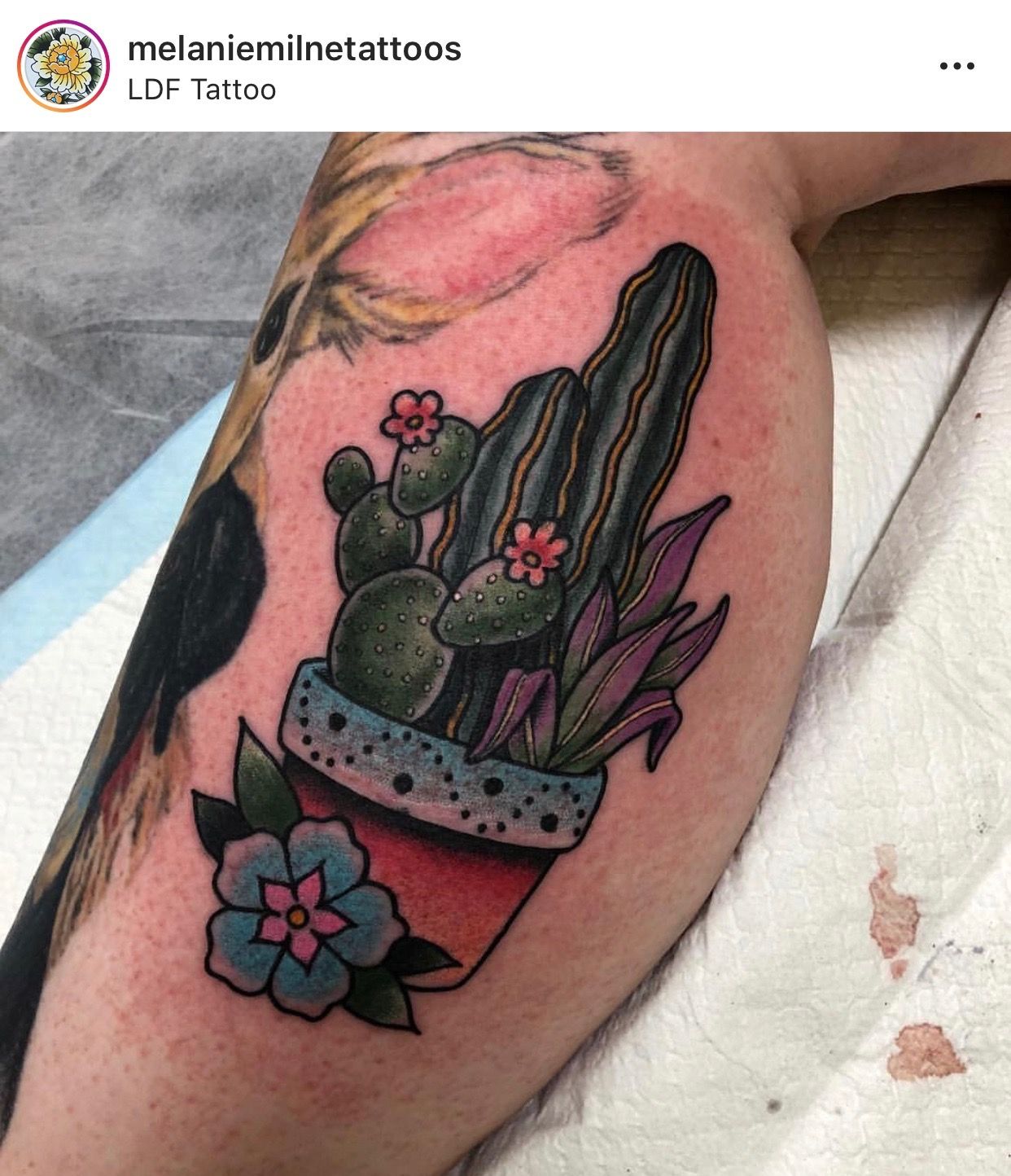 Small Simple Cactus Tattoo Designs (125)