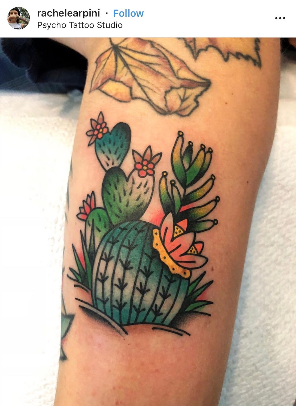 Small Simple Cactus Tattoo Designs (191)