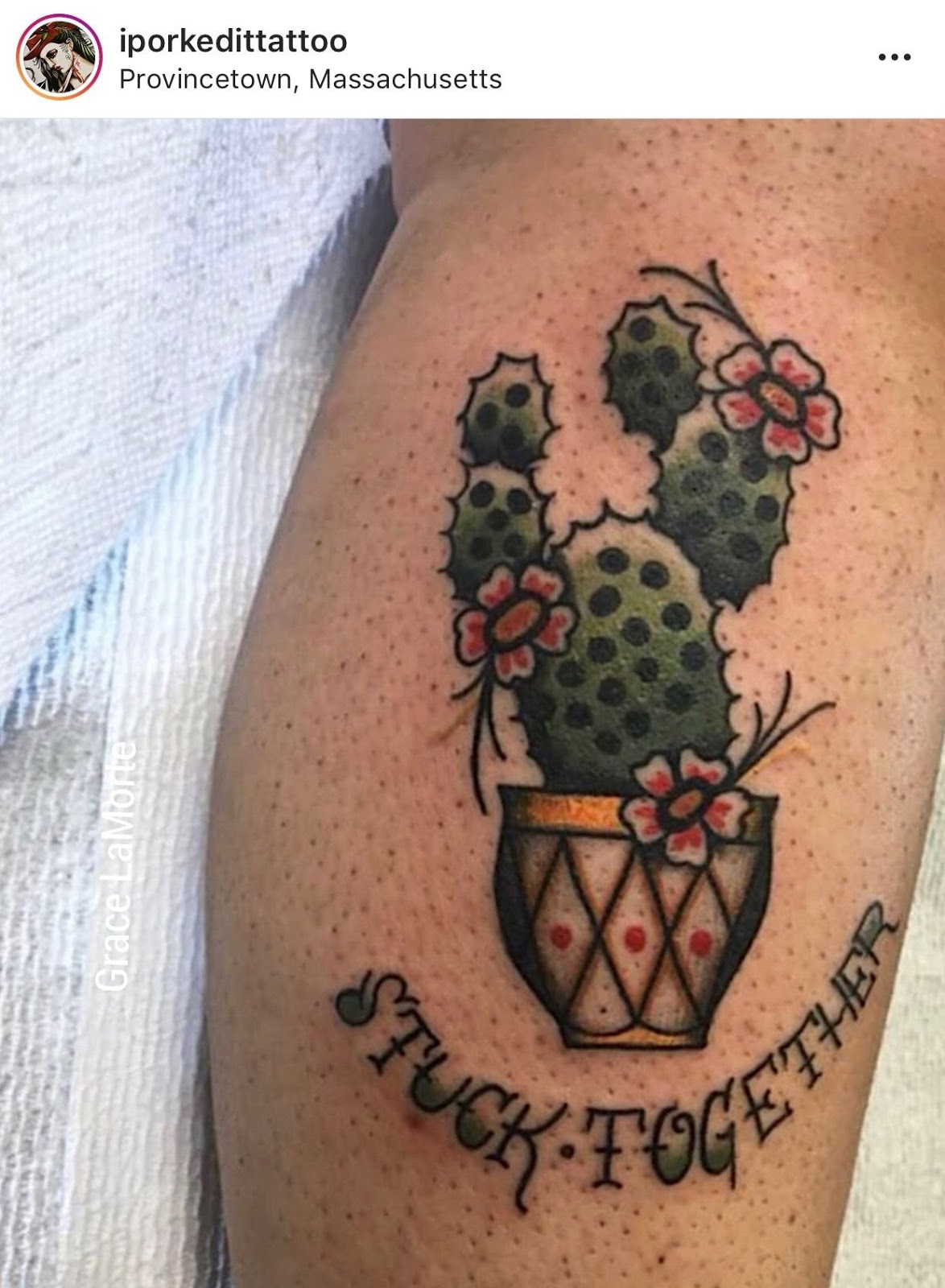 Small Simple Cactus Tattoo Designs (192)