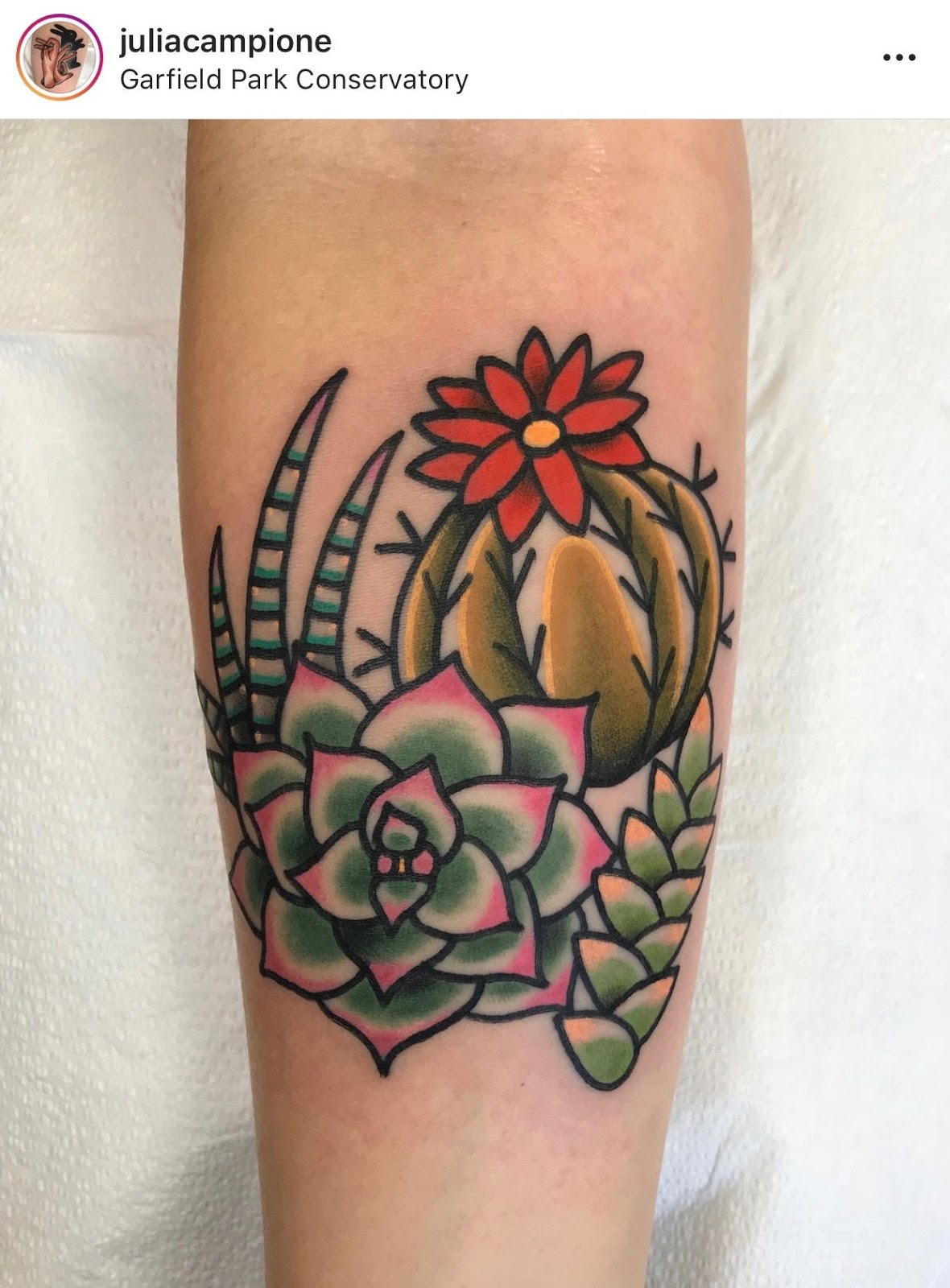 Small Simple Cactus Tattoo Designs (91)