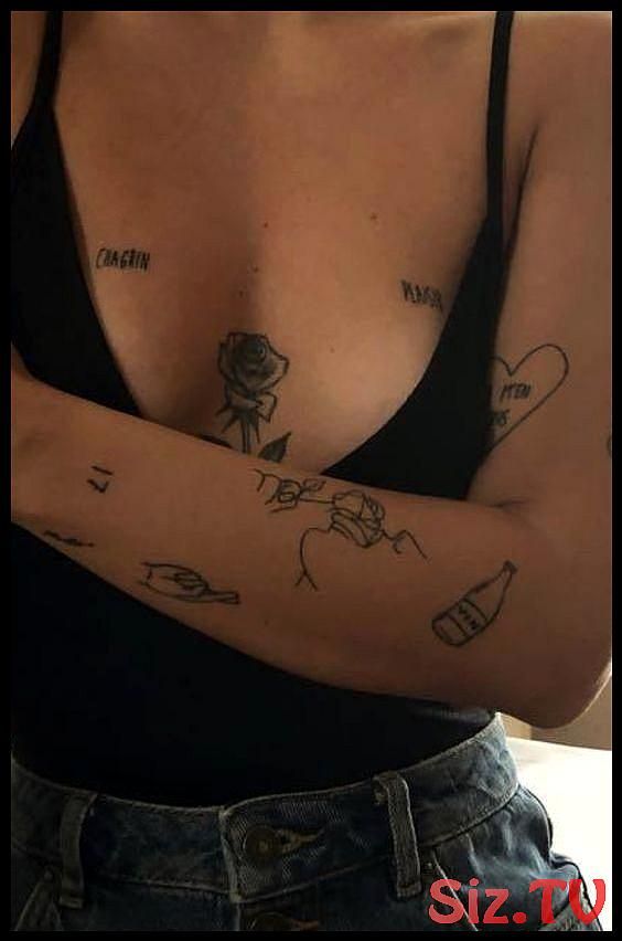 Tatuagens Femininas Delicadas No Braço (69)