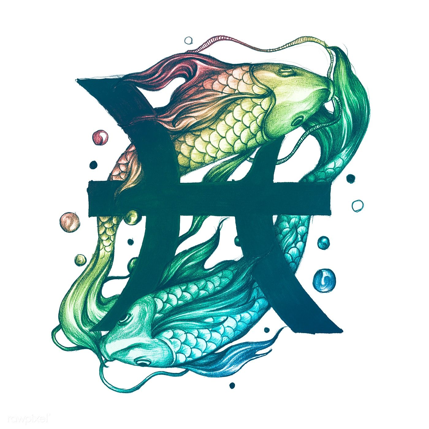 Pisces Horoscope Tattoo Zodiac Sign Fish (84)
